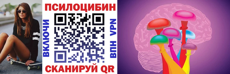 Галлюциногенные грибы Psilocybe Вилюйск