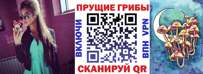 Галлюциногенные грибы мицелий shop наркотические препараты Вилюйск